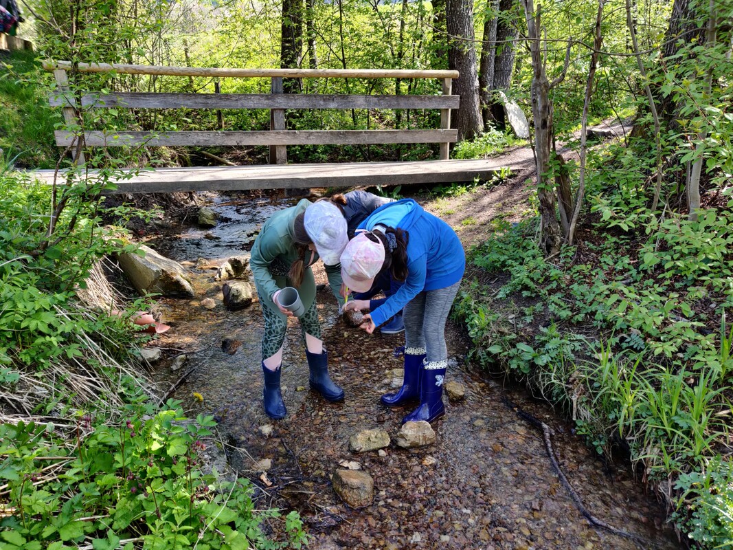 Bild 6 VS Saalfelden Bachuntersuchung