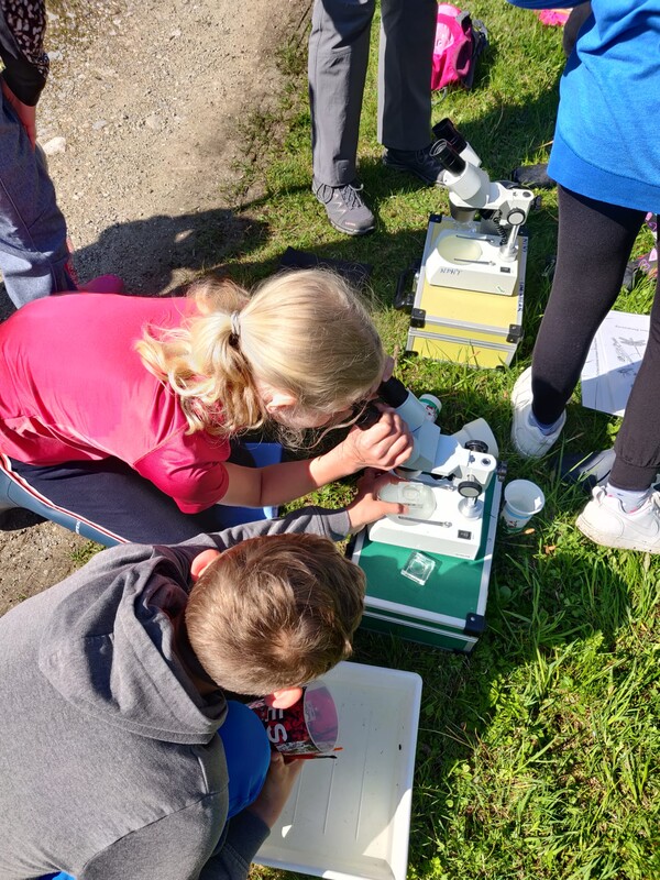 Bild 8 VS Saalfelden Mikroskopieren am Gewässer