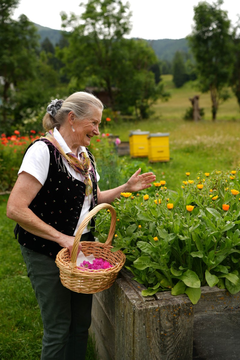 Resi Posani beim Ernten der Kräuter cNPHT Wernisch