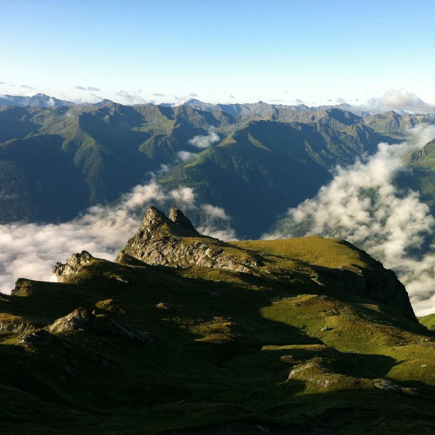 Logo Nationalparks Austria