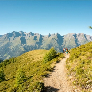 Am Weg zur Wetterkreuzhuette mit Blick auf die Venedigergruppe 
