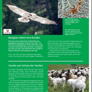 Herbst_Magazin_Projekte