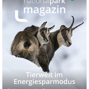 Titel_Herbst_Magazin