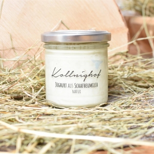 C Kollnighof_Sebastian Lackner (5) (Large)