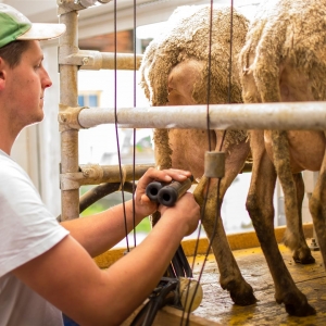 C Kollnighof_Sebastian Lackner (8) (Large)