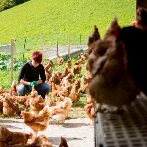 HochBerg-Ei_cOsttiroler Hochbergei_Foto Tourismus und Landwirtschaft (Medium)