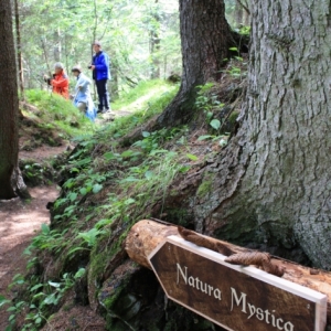 Natura Mystica c ECO Kreimer Elisabeth 3