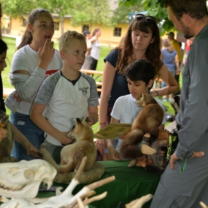 NP_kommt in die Stadt Wissen © NPHT A. Pecile