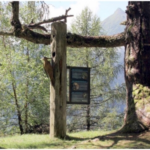 Zedlacher Paradies_cNPHT