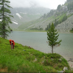 Bat-Detektor Aufstellung am Karwassersee c Wildried Rieder