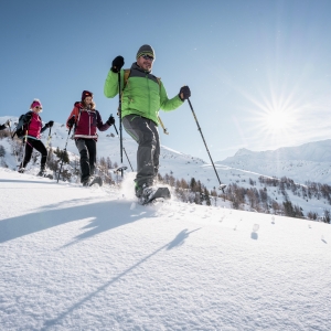 Schneeschuhwanderung_©NationalparksAustria_StefanLeitner (1)