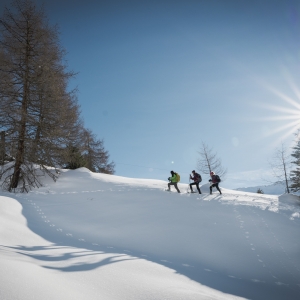 Schneeschuhwanderung_©NationalparksAustria_StefanLeitner (3)