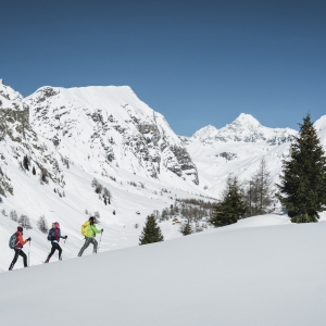 Schneeschuhwanderung_©NationalparksAustria_StefanLeitner (8)