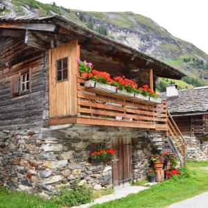 Alm_Innergschloess_TT_cNationalparkHoheTauern_Marlies_Gliber