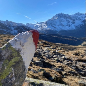 Rauriser Talschluss im Herbst mit Blick Richtung Bockhartscharte c NPHT Pecile