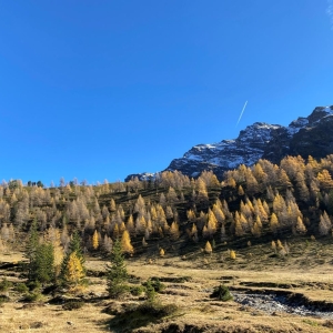 Rauriser Talschluss mit Fichten Lärchenwald bei Sonnenschein im Herbst c NPHT Pecile