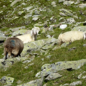 P1040119Gschloess04092019_cNPHT_Jurgeit-02