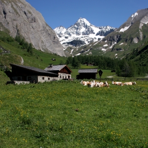 Koednitztal_cNPHT_Gruber