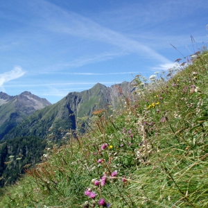 Sajatm_hder_cNPHT_Mader_001