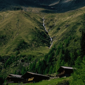 Gritzeralm_cNPHT_Mair_Walter_low