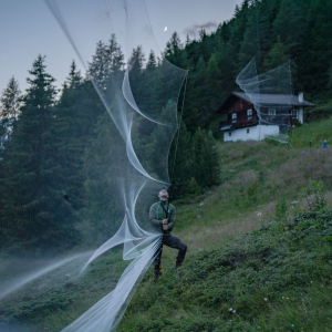 Forscher beim Spannen der Fledermausnetze c NPTH Dalpiaz