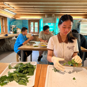 Chinesische Schuelergruppe in der Nationalparkwerkstatt Klausnerhaus Hollersbach © Ying Jiang
