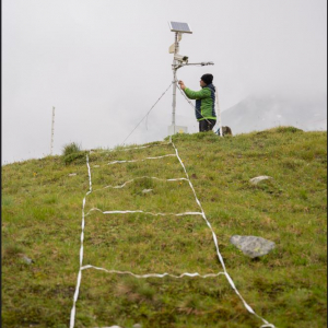 Experte bei Datenerhebung im Gelände c Fabian Dalpiaz
