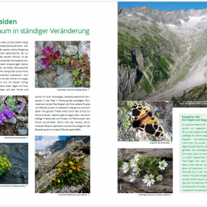 Blick in die Broschüre zum Thema Schutthalden