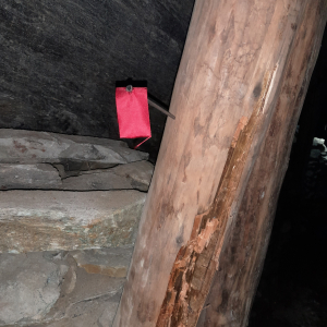 Rotes Faehnchen als Markierung zum Balkenaustausch_c_S-Moser